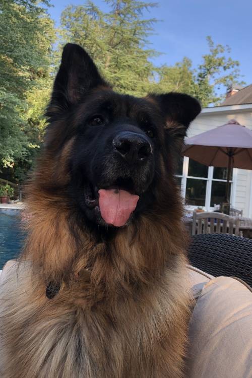 Meet Our Team - Roman for Custom Window Treatments Near Marietta, Georgia (GA)